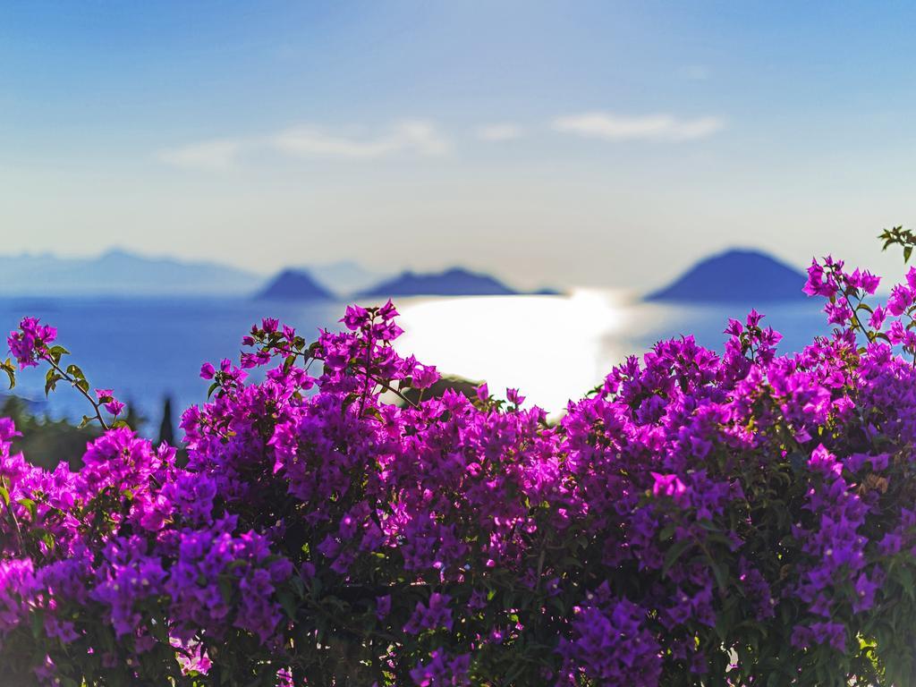 Sunset Mavi Villa Turgutreis Exterior foto