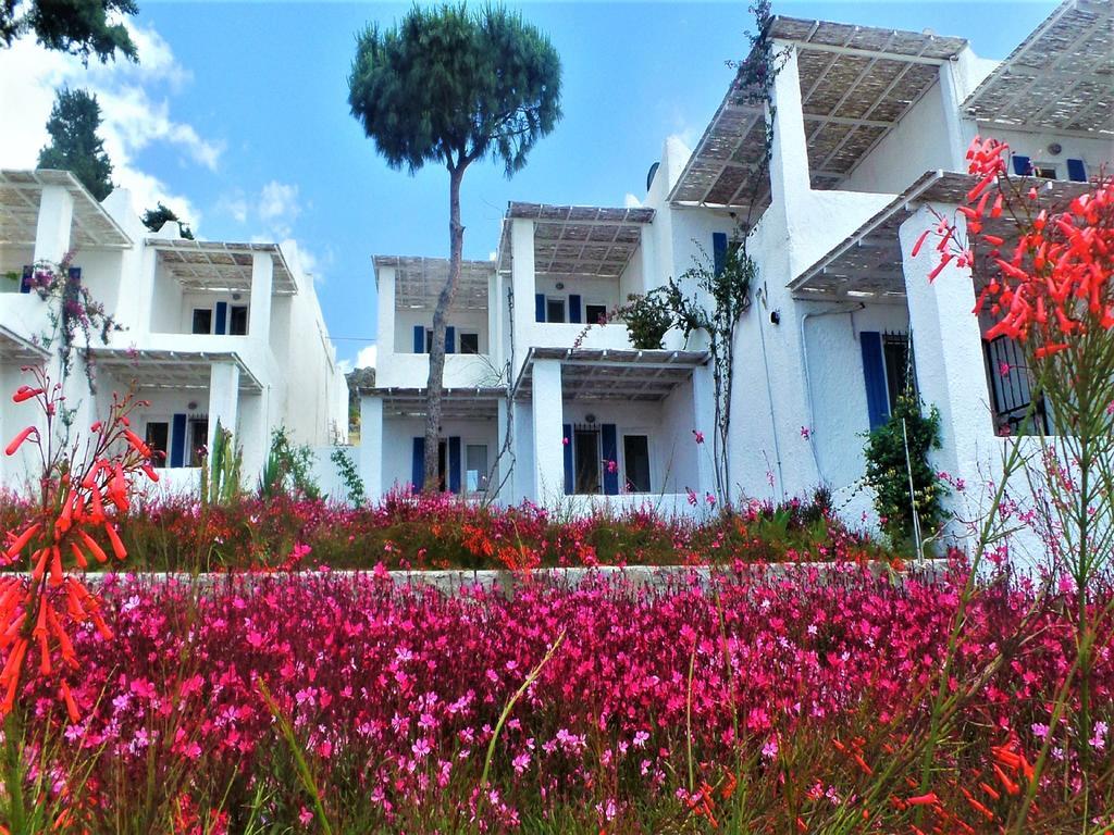 Sunset Mavi Villa Turgutreis Exterior foto