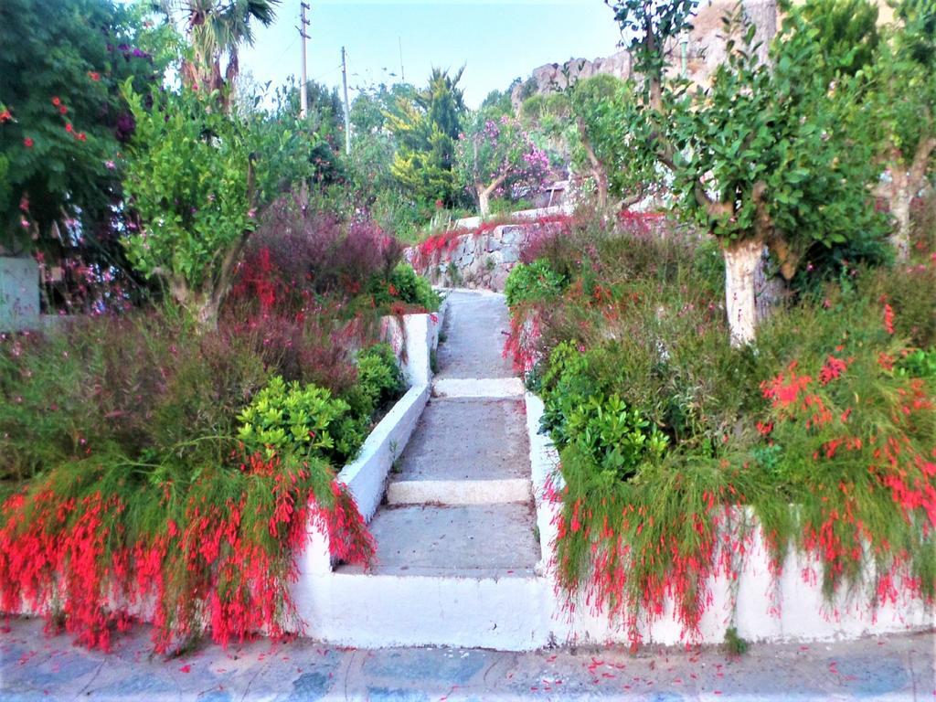 Sunset Mavi Villa Turgutreis Exterior foto