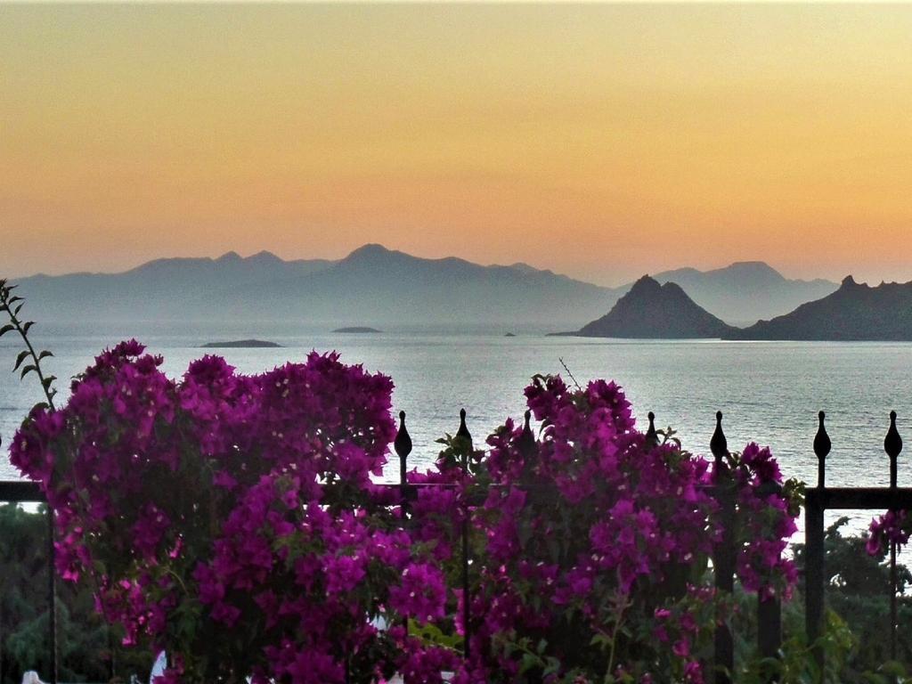 Sunset Mavi Villa Turgutreis Exterior foto