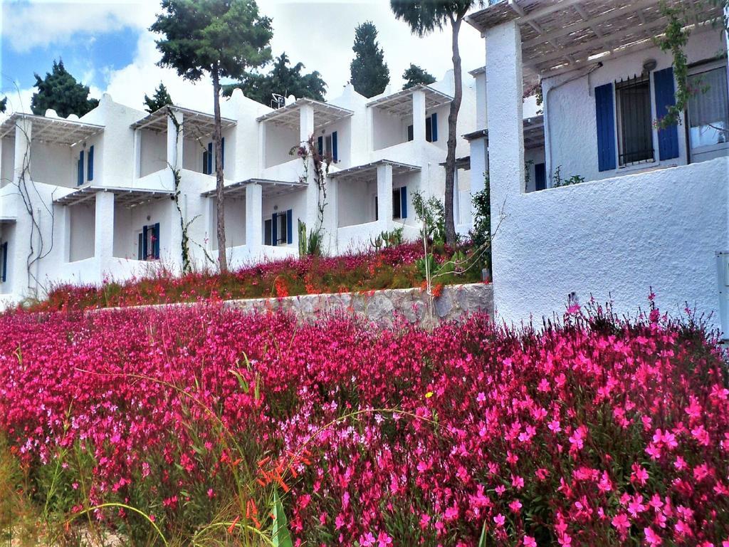 Sunset Mavi Villa Turgutreis Exterior foto